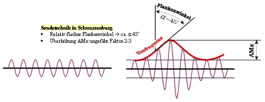 Der Frankenwinkel ist ein mitentscheidender Faktor, wenn es um die Schdliche Wirkung der HF - Strahlen geht.